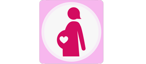 Pregnancy Calculator