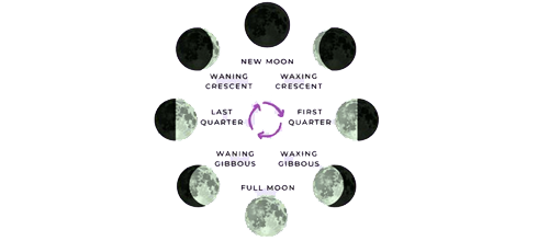 Moon Phase Calendar